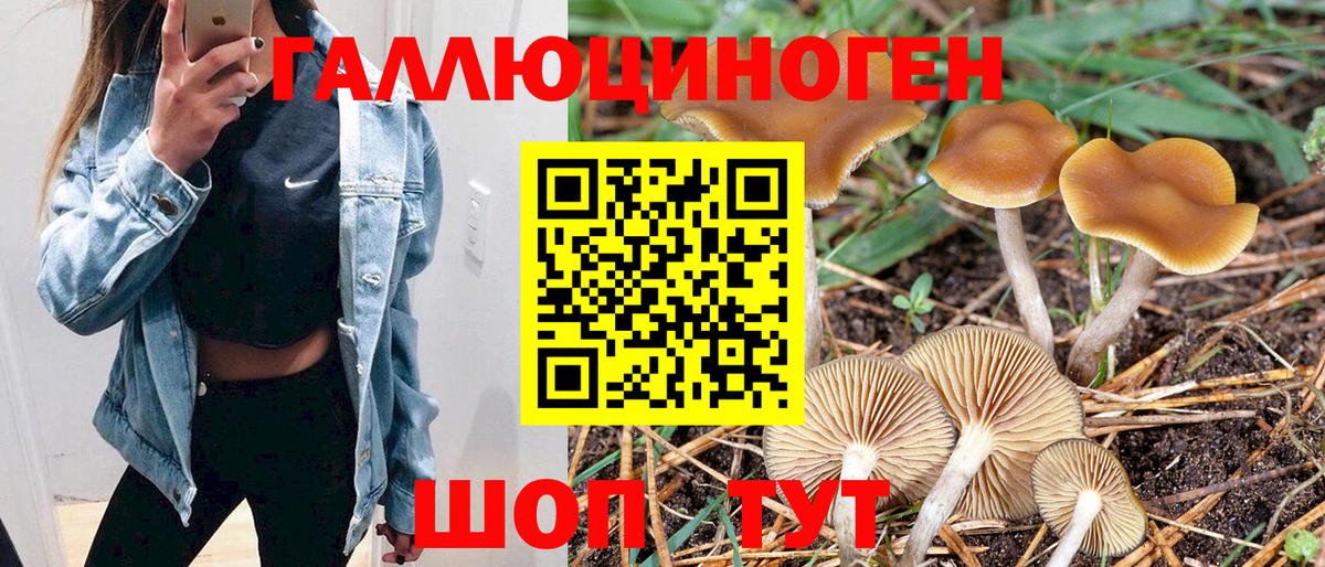 Псилоцибиновые грибы MAGIC MUSHROOMS Шелехов